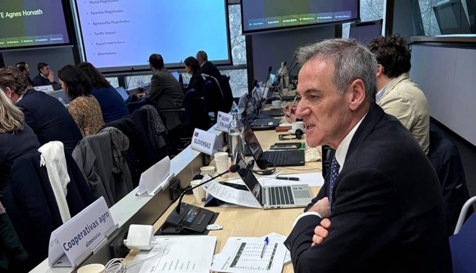 La aceituna de mesa española reclama apoyo europeo ante trabas comerciales