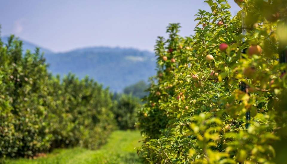 La contratación de seguros agrarios marca un nuevo máximo en 2025
