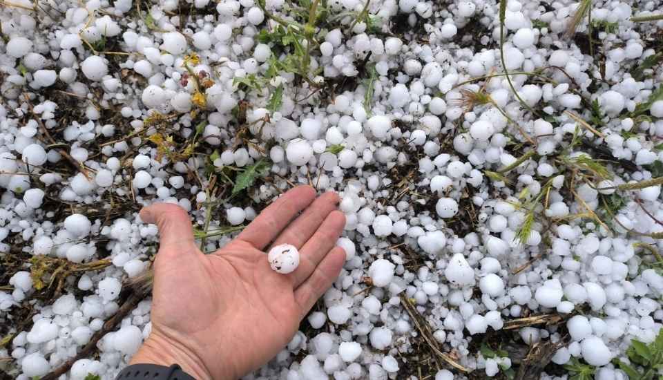 La siniestralidad del seguro agrario crece un 15 % en 2025