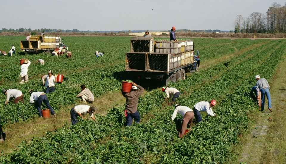 Extremadura: en 2026 el campo enfrenta crisis, clima y la futura PAC