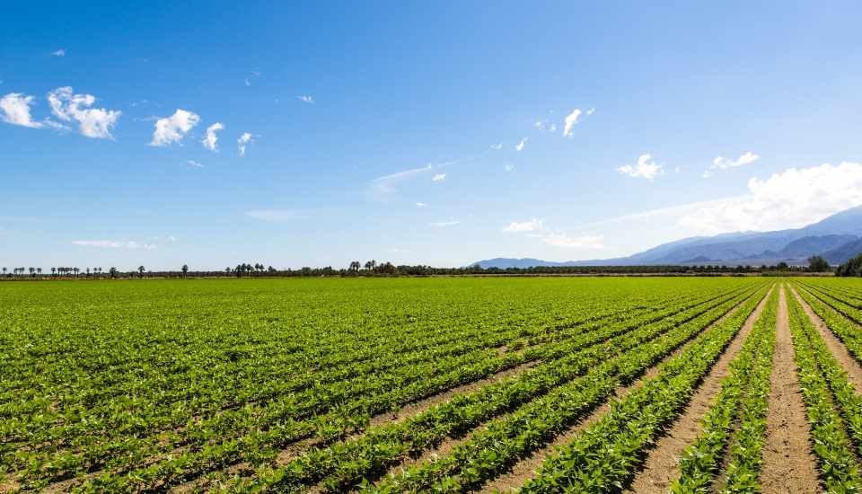 Asaja Extremadura alerta del impacto del acuerdo UE-Mercosur en el campo