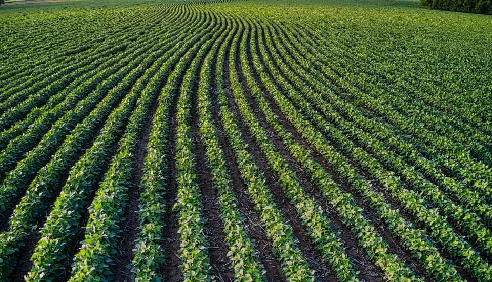 La Junta y La Parra desarrollan un proyecto formativo en agricultura
