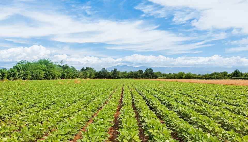 Extremadura aprueba 568 millones en ayudas PAC 2026-2027