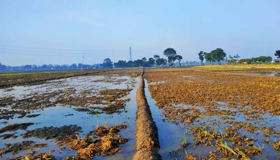 2.874,1 millones de euros para el sector agrario afectado por las borrascas en Andalucía y Extremadura