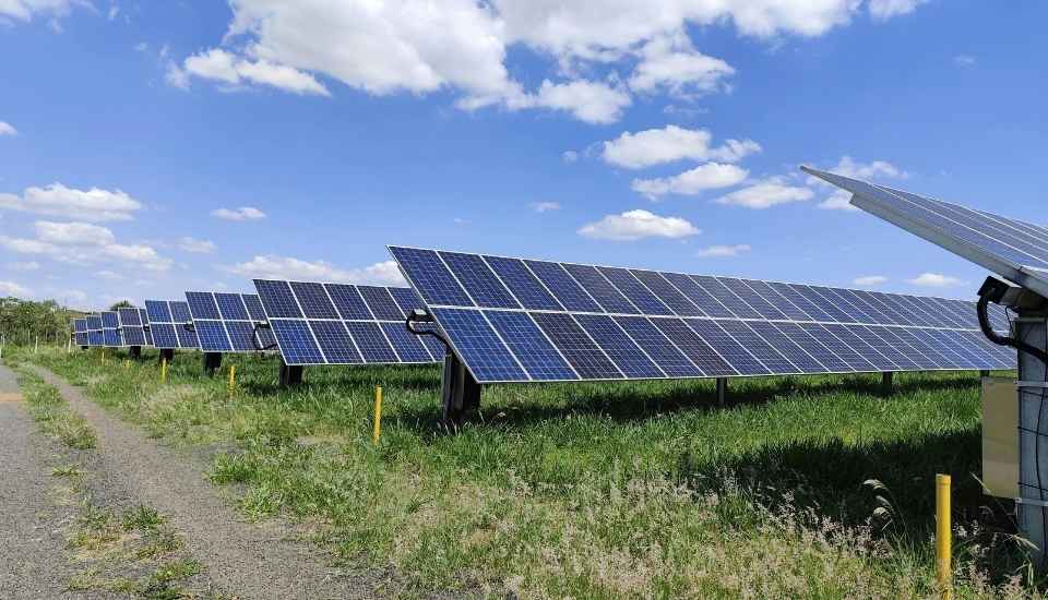 Extremadura ordena la expansión fotovoltaica para proteger suelos y dehesas
