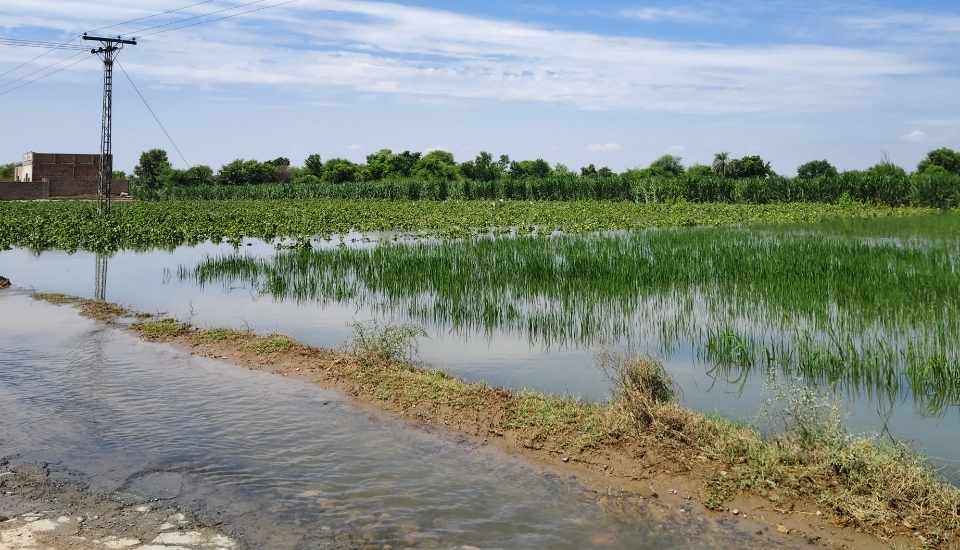 La Unión critica la exclusión de amplias zonas extremeñas de las ayudas por las borrascas
