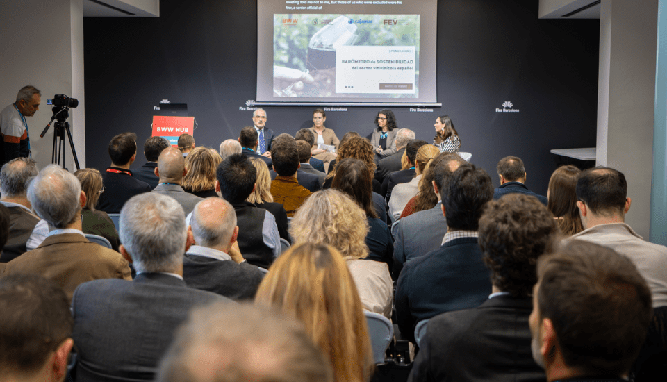 Las bodegas españolas avanzan en sostenibilidad, según el Barómetro del sector vitivinícola