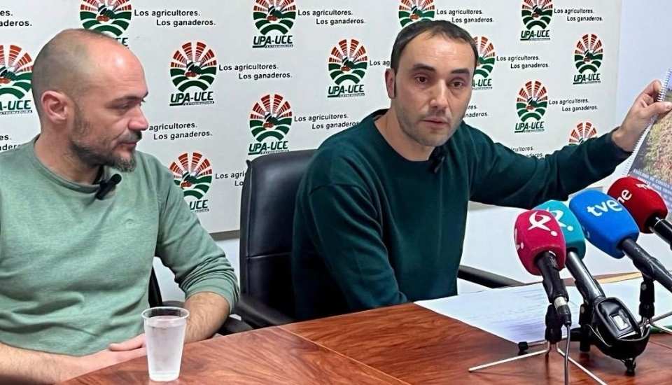 Los agricultores del tomate deberían percibir 137 euros por tonelada para obtener rentabilidad