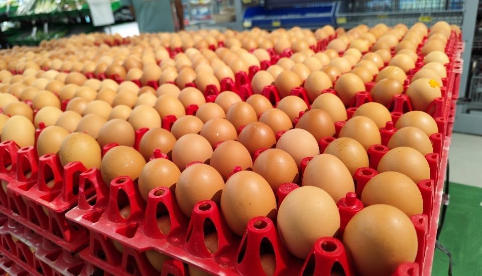 Los huevos se encarecen un 39,2 % en Extremadura en el último año