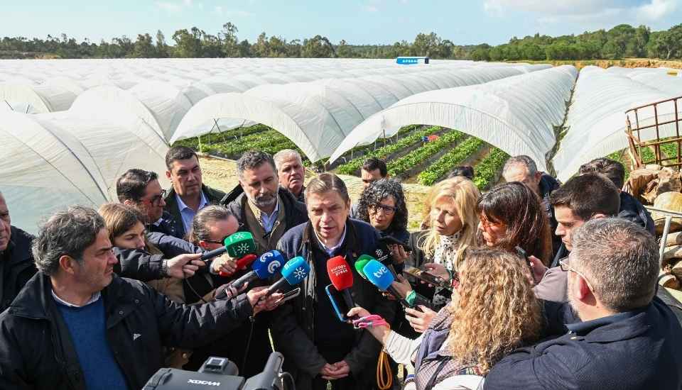 Planas solicita a la CE la activación del fondo agrícola de crisis para las zonas afectadas por las borrascas