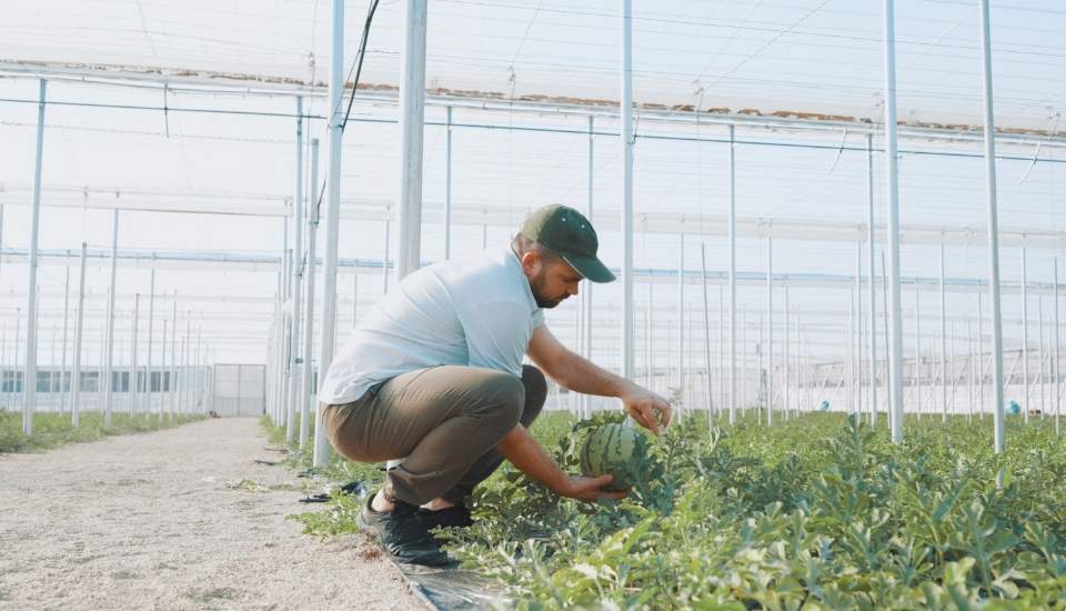 Unión de Uniones destaca que el campo ya pagó en 2025 cerca de un 10 % más del salario mínimo interprofesional