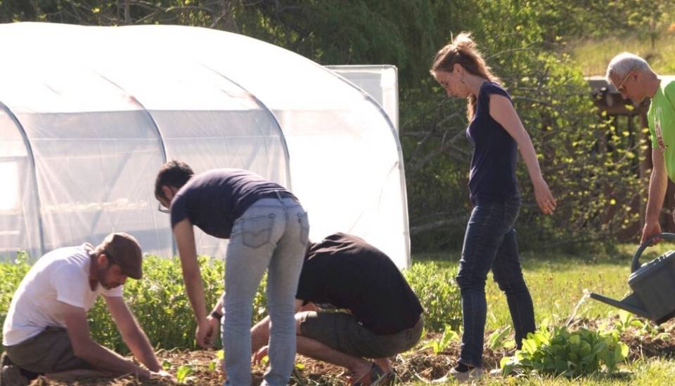 Extremadura impulsa un censo de “terceros lugares” agroalimentarios para dinamizar el medio rural