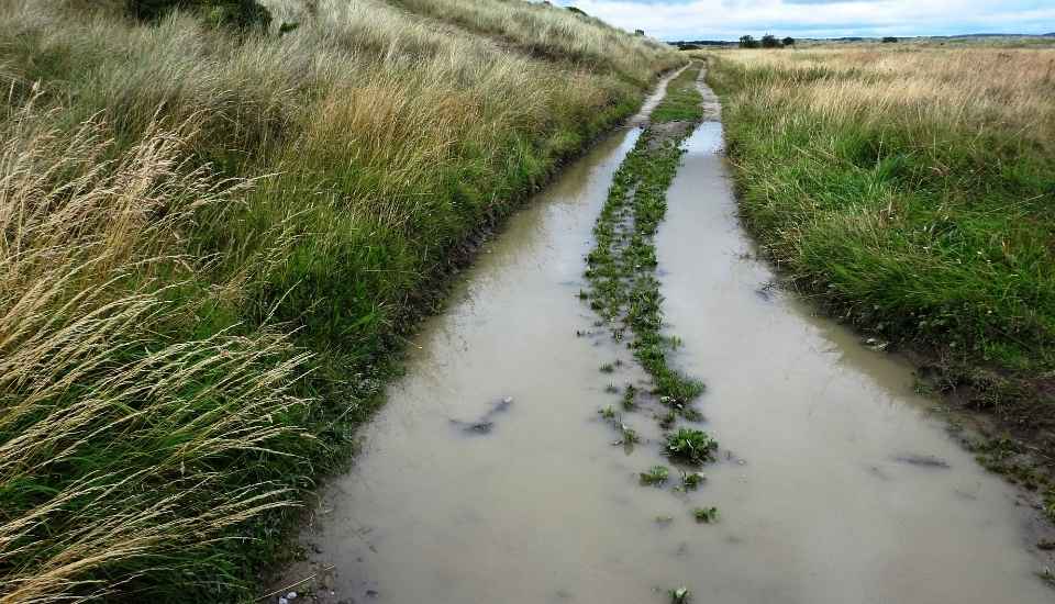 El MAPA abre el plazo para comunicar los daños causados por las borrascas en caminos agrarios y regadíos