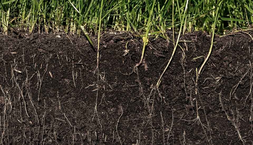La recuperación del suelo fértil podría enfriar el planeta tres veces más de lo que el CO₂ lo calienta