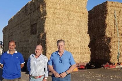 Agricultura reparte 45 toneladas de paja tras el incendio de Valdefuentes