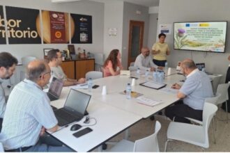 El cardo gana protagonismo en la elaboración de quesos