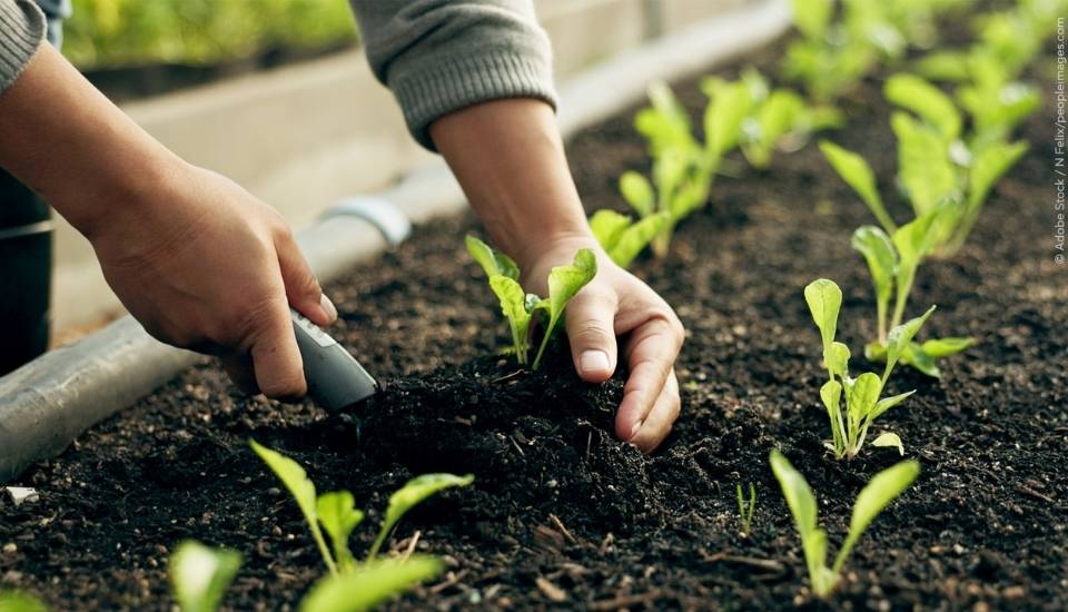 La Eurocámara aprueba ayudas para aliviar el coste de los fertilizantes