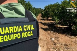 Los robos en el campo caen un 20 % durante 2025