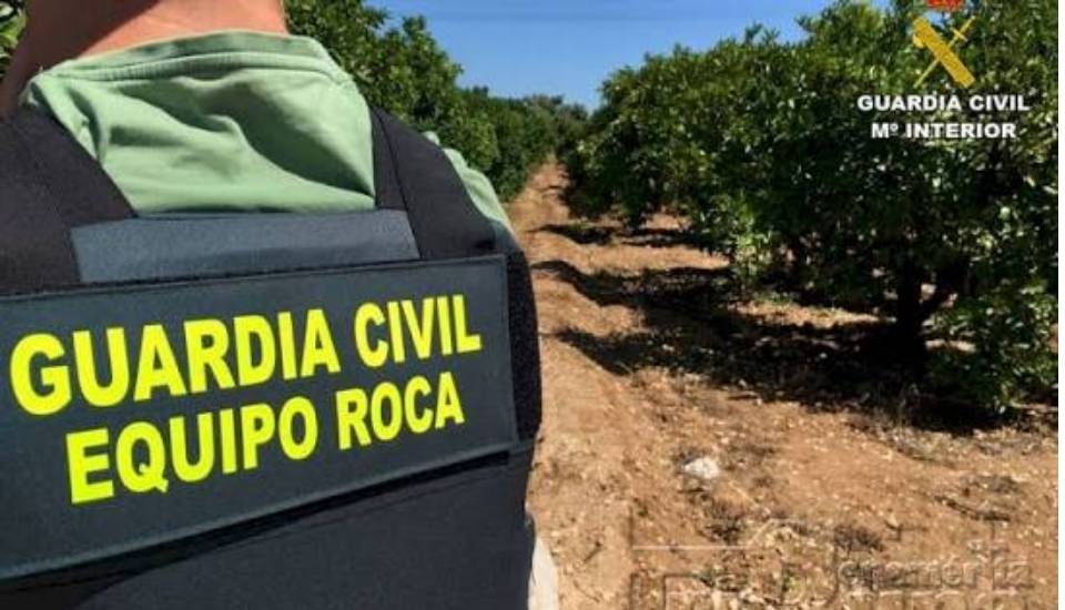 Los robos en el campo caen un 20 % durante 2025