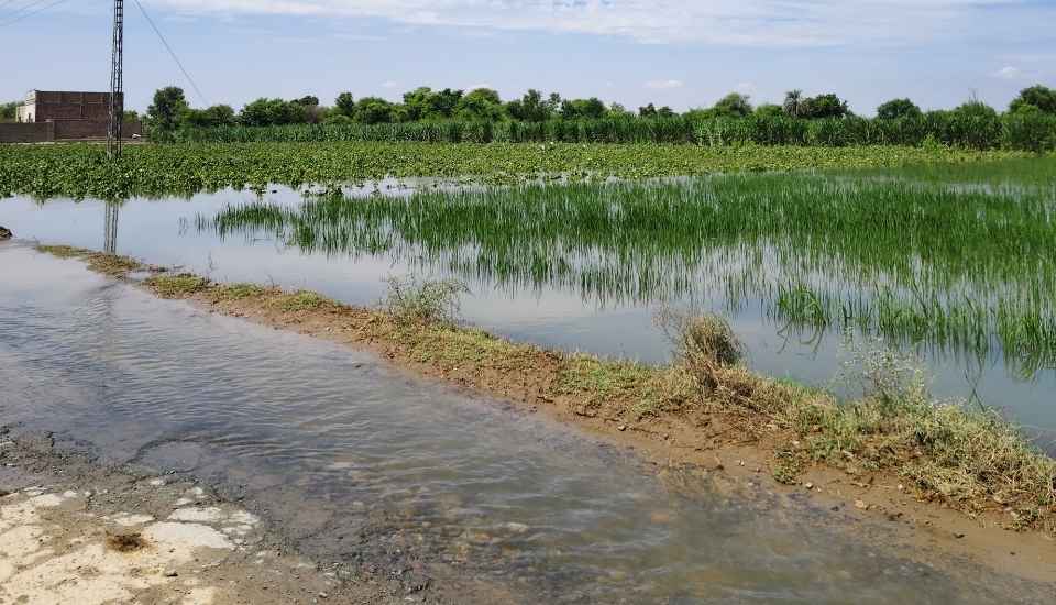Extremadura y Andalucía recibirán 4,8 millones en ayudas por las borrascas de principio de año