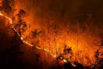 Aprobada una ayuda de 120 millones a España tras los incendios de agosto de 2025