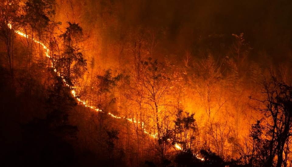 Aprobada una ayuda de 120 millones a España tras los incendios de agosto de 2025