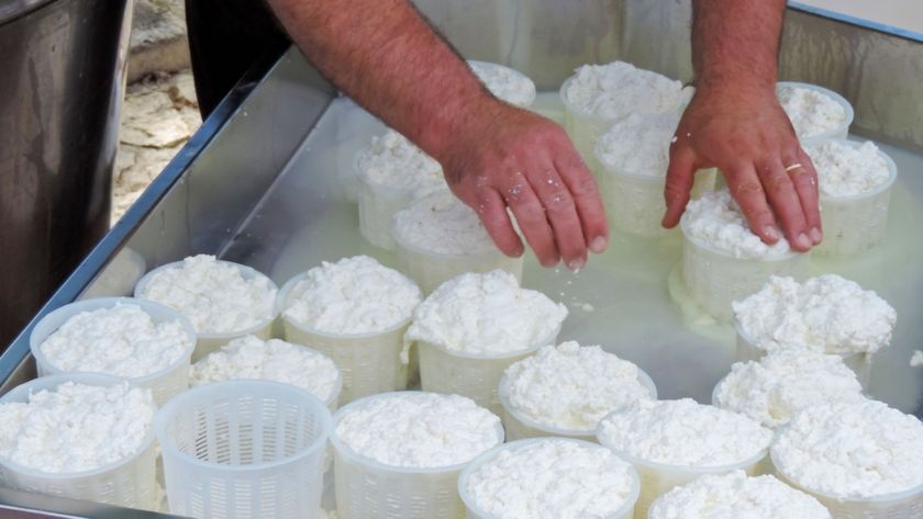 El MAPA abre la consulta para actualizar las normas de calidad alimentaria