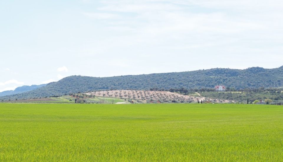 Extremadura recibirá 5,86 millones en ayudas agrarias europeas
