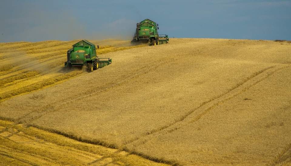 APAG Extremadura ASAJA anuncia una acampada por el cereal
