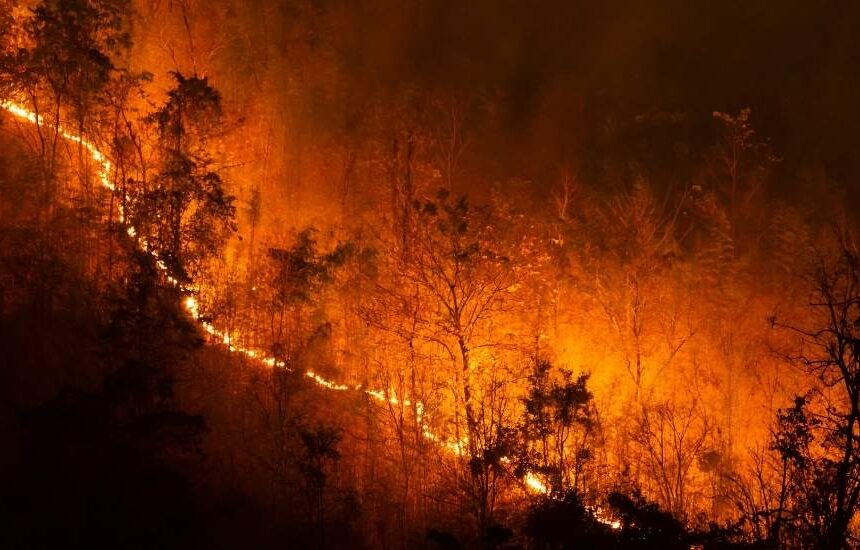 Agricultura prepara ayudas para agricultores afectados por incendios