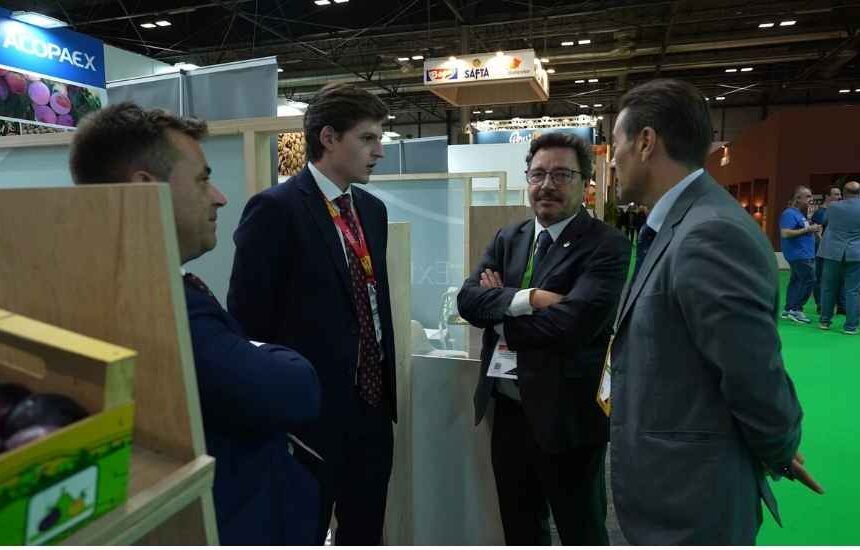 Extremadura lleva 42 empresas a Fruit Attraction 2026