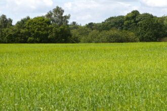 El Gobierno amplía en 57,6 millones los seguros agrarios