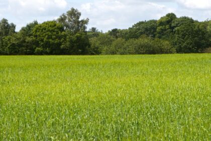 El Gobierno amplía en 57,6 millones los seguros agrarios