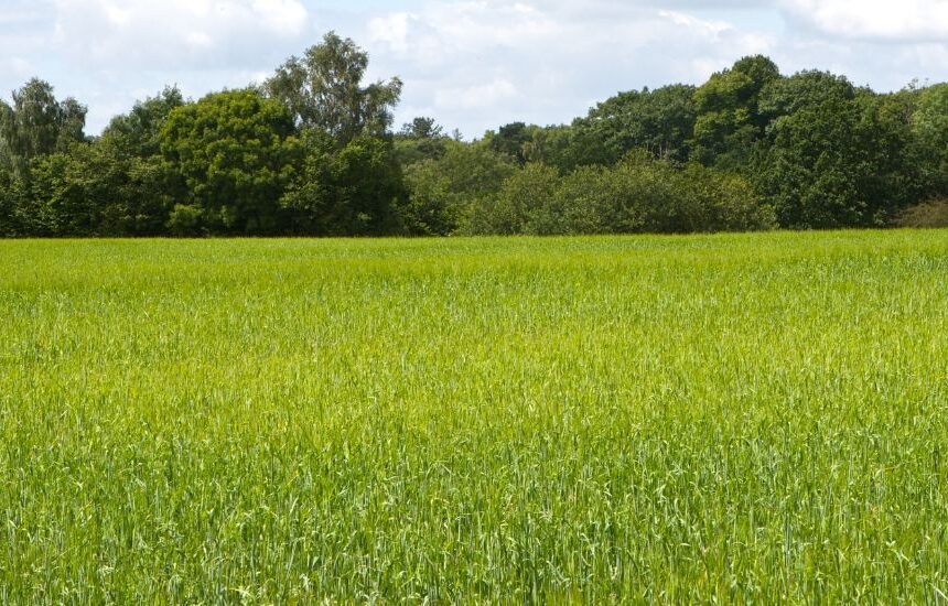 El Gobierno amplía en 57,6 millones los seguros agrarios